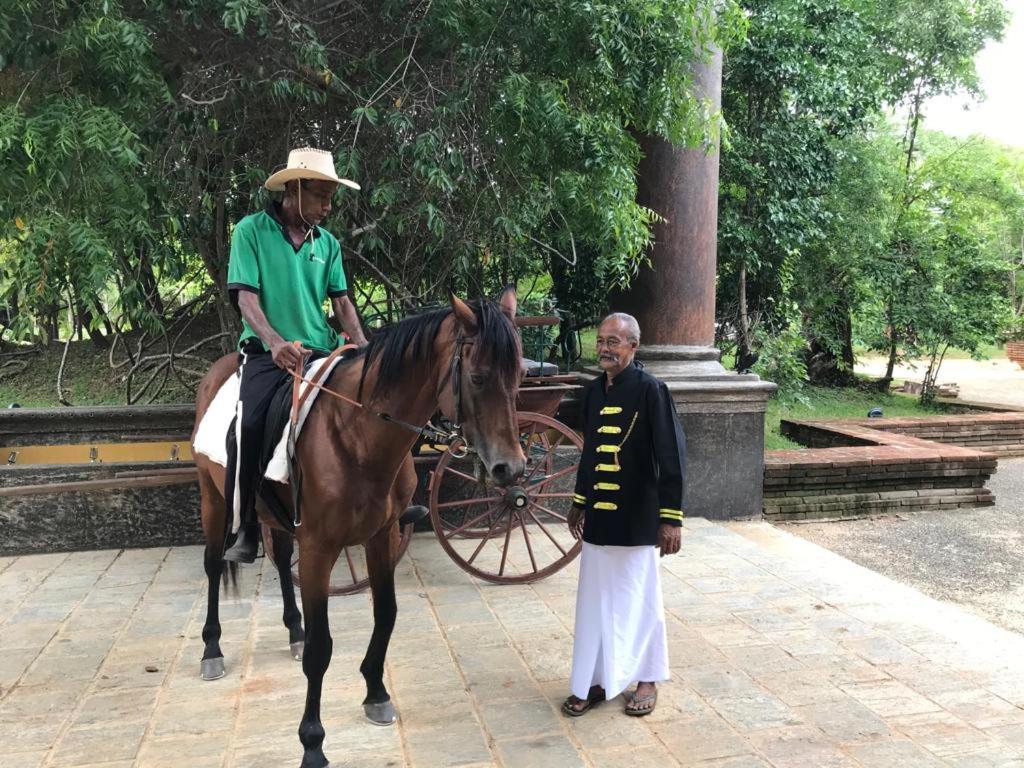 Aswadduma Hotel Dambulla Eksteriør bilde